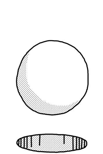 QI-des-pauves