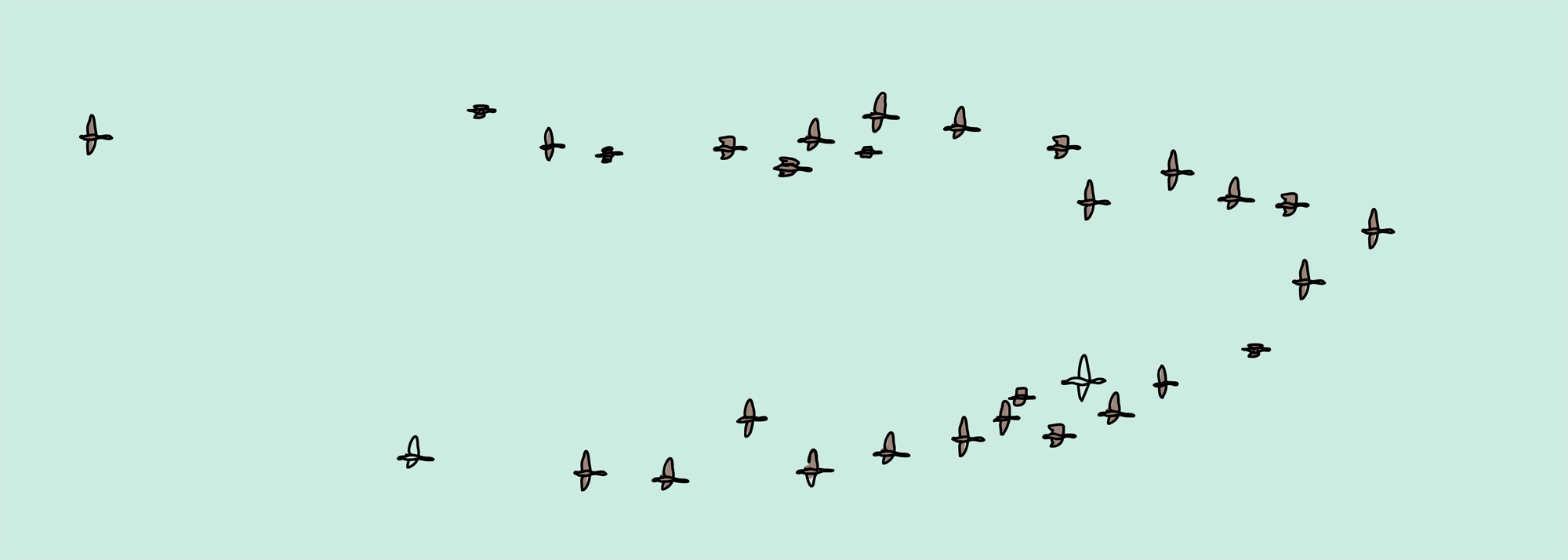 190820-Medor-site_V02-12.png