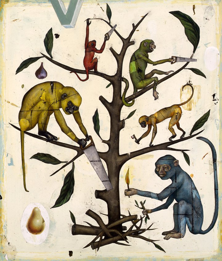 Haies-biodiversité