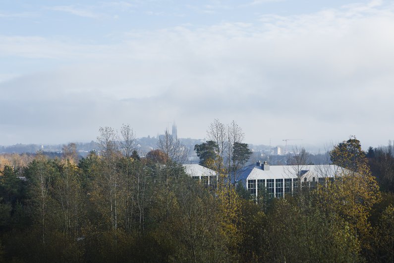 2019_11_25_ZAD_05_72dpi.jpg