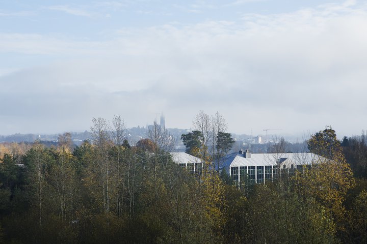 2019_11_25_ZAD_05_72dpi.jpg