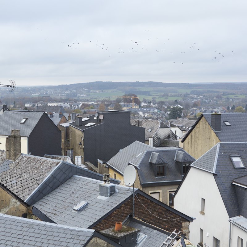 arlon_zad.jpg