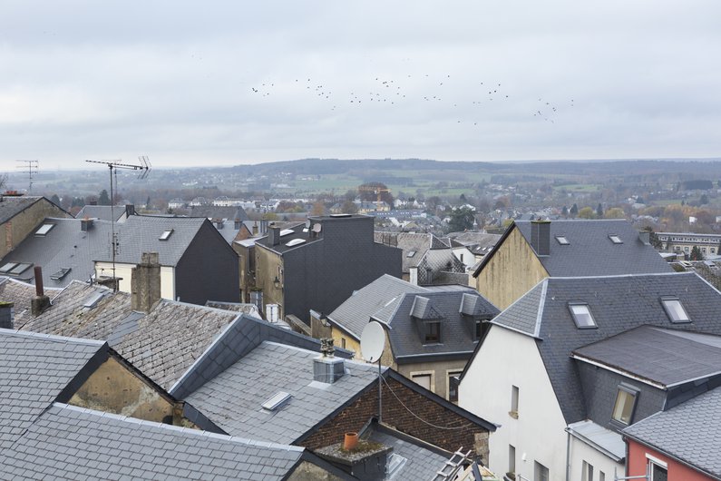 arlon_zad.jpg