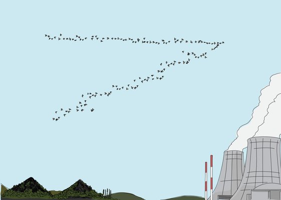 Banniere_Home_Oiseaux.jpg