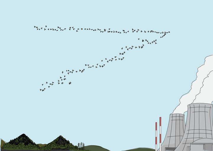 Banniere_Home_Oiseaux.jpg