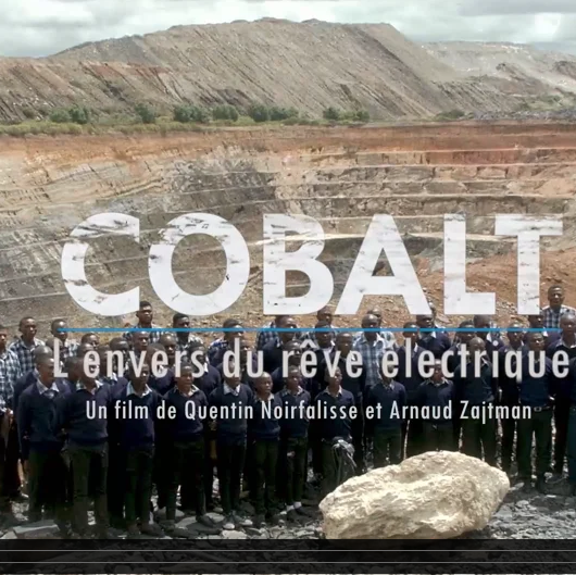 cobalt, l'envers du rêve électrique