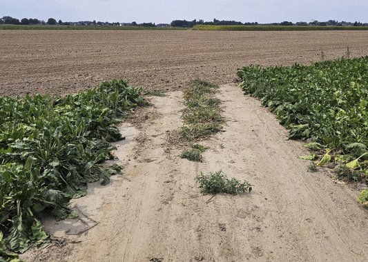 Chemin-5