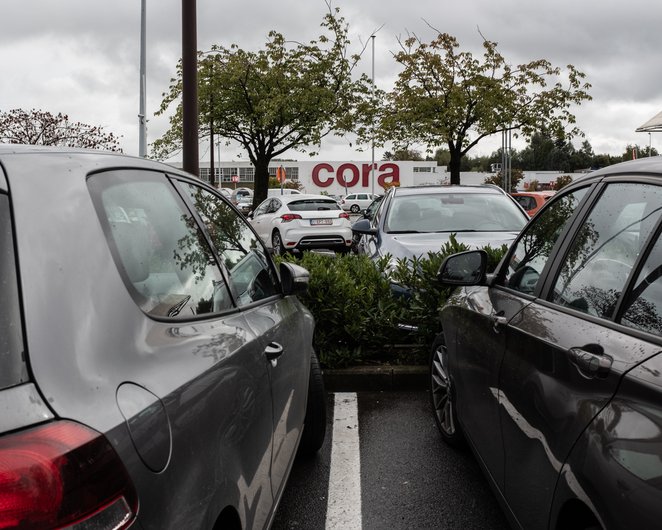 Cora.JPG