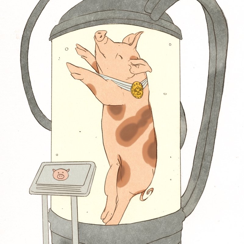 Capture d’écran 2026-01-30 à 14.55.36