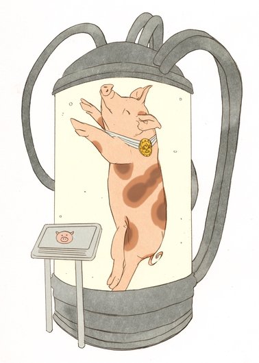 Capture d’écran 2026-01-30 à 14.55.36