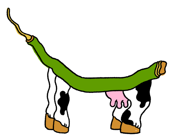 vache-haricot.png