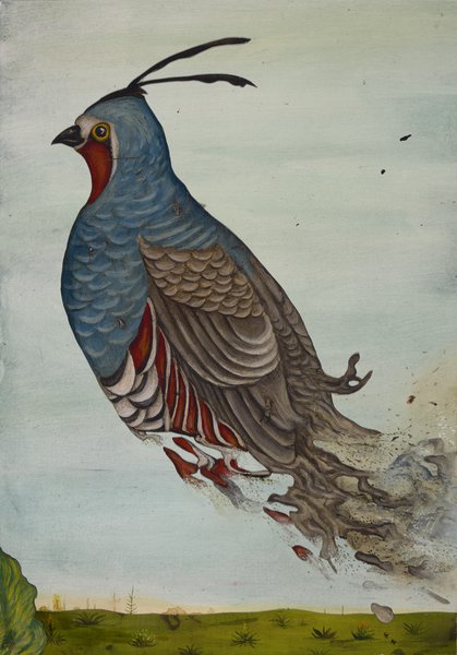 oiseau-mort