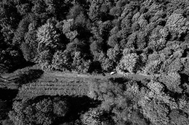 New_Sele_foret_HD-6-red