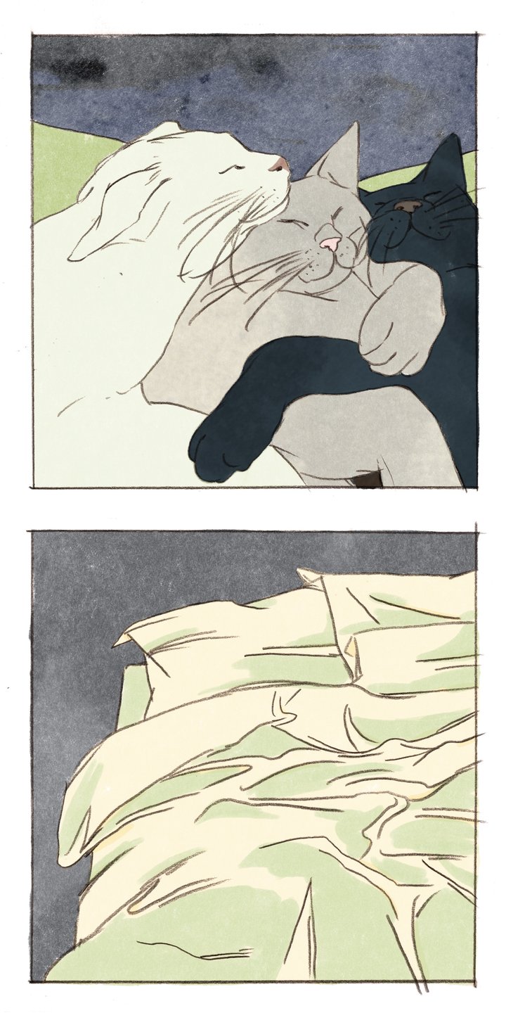 Capture d’écran 2026-02-04 à 17.05.41