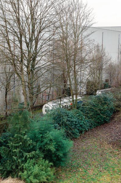 Zilverbeek_sele-3.jpg