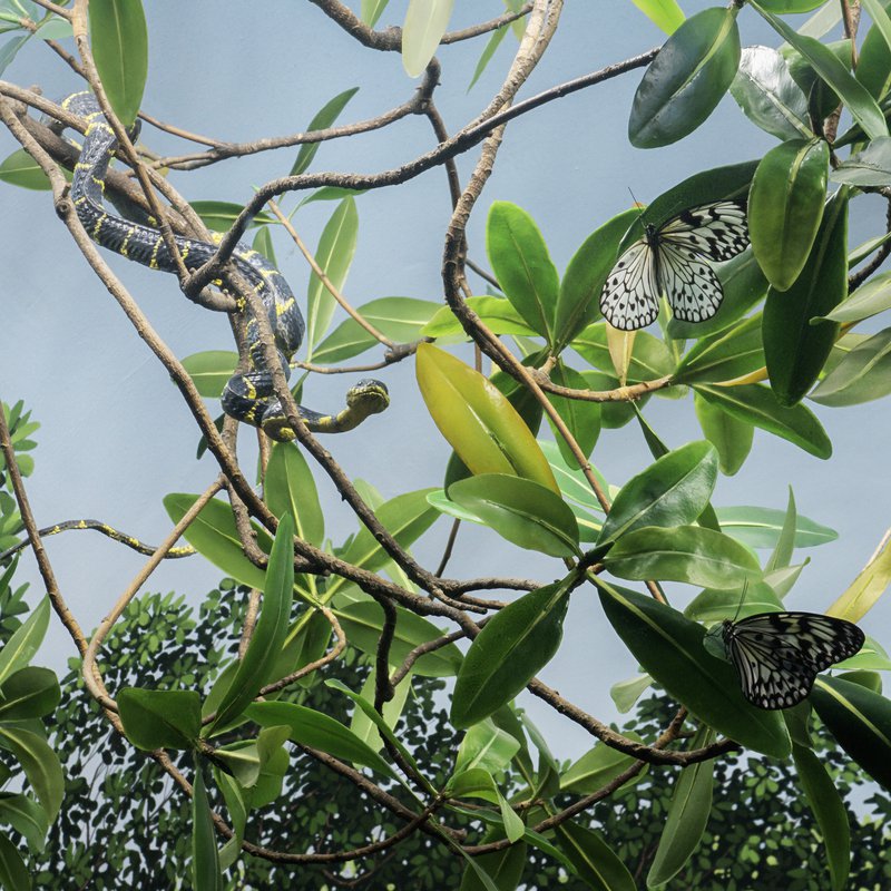 medicament-importation