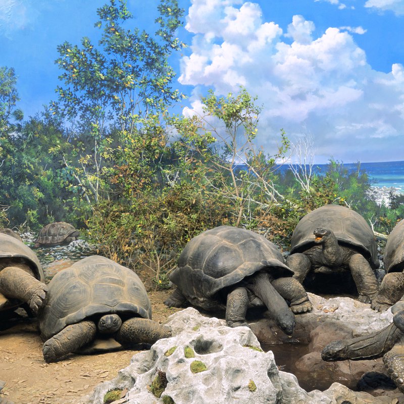 pretre-sociologie-religion