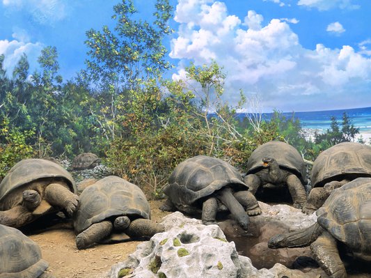 pretre-sociologie-religion