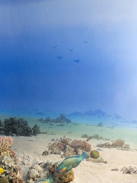 jan-de-nul-sable