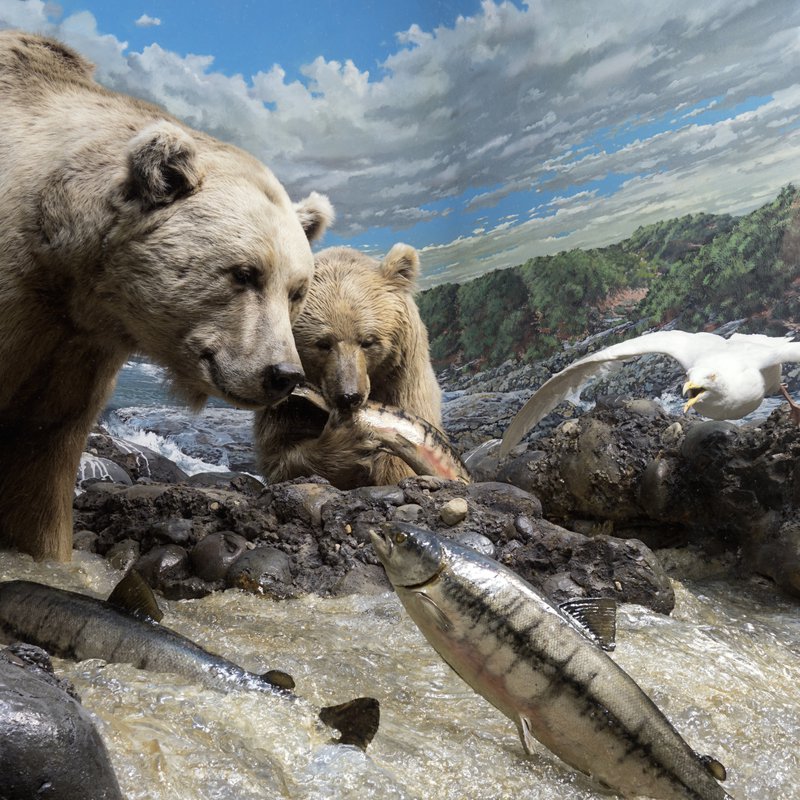 informaticiens-belgique