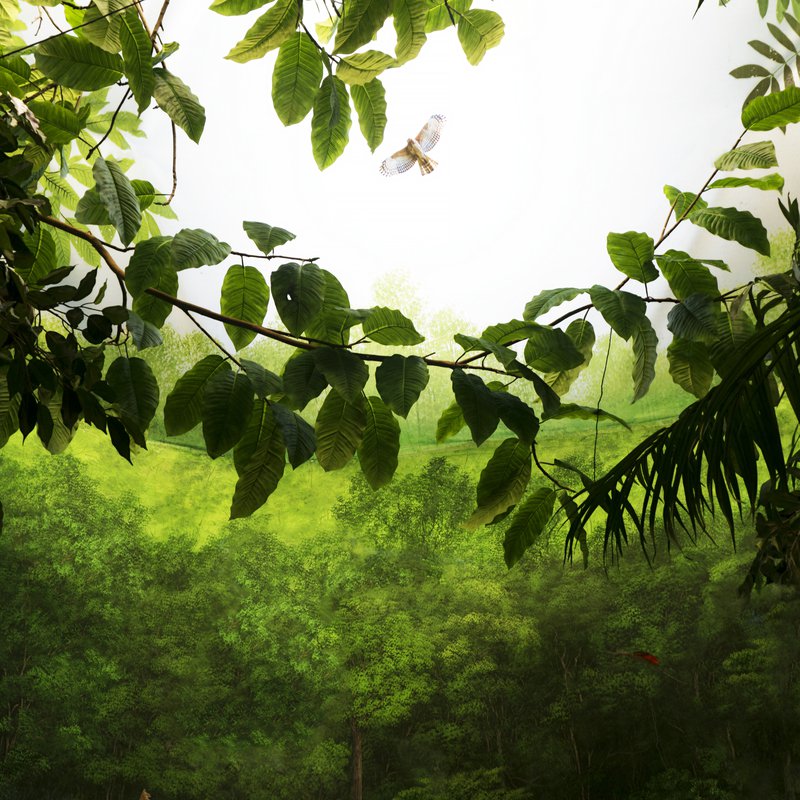 politique-droit-de-vote