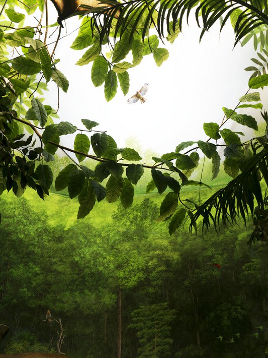 politique-droit-de-vote