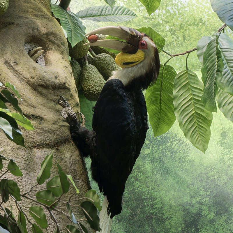 medicament-importation