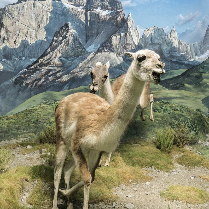 politique-droit-de-vote