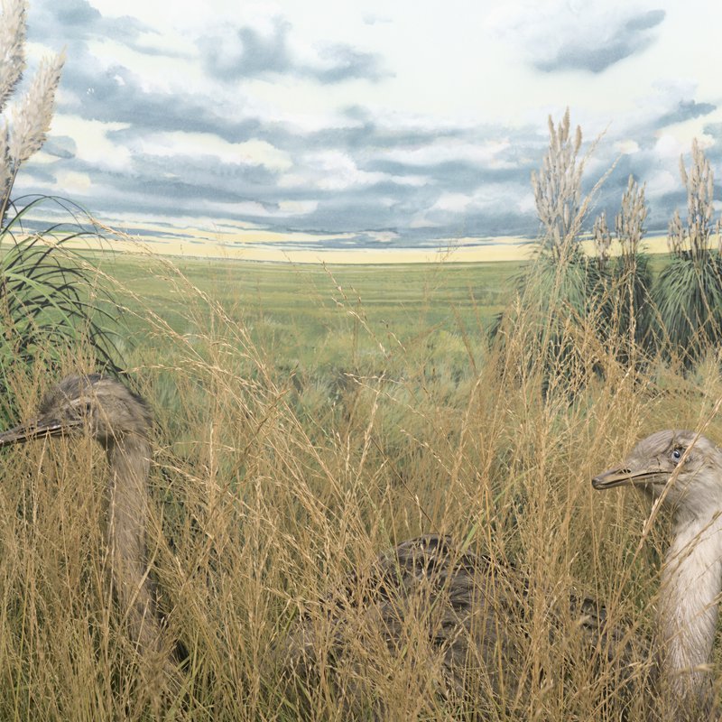 Bruxelles-qualite-air