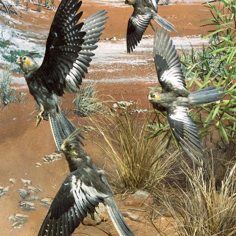 pretre-sociologie-religion