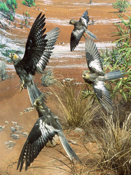 pretre-sociologie-religion