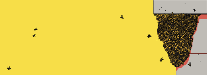 bannerabeilles.png