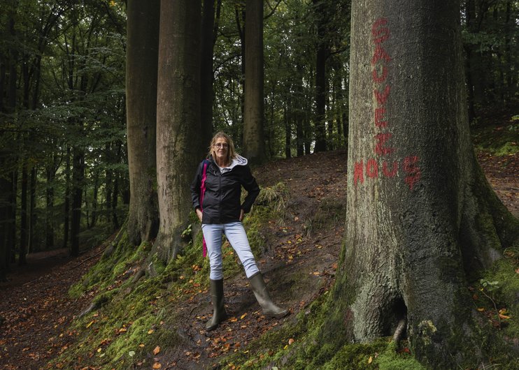 bois_beumont_006