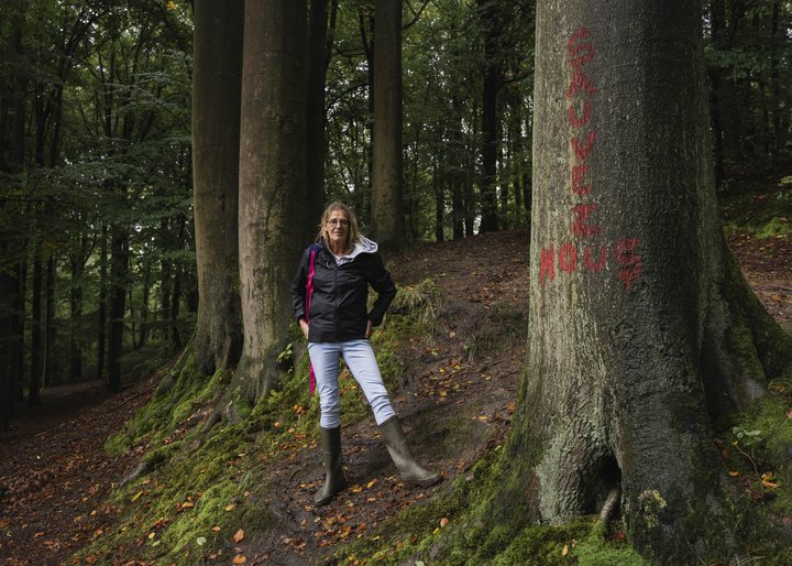 bois_beumont_006