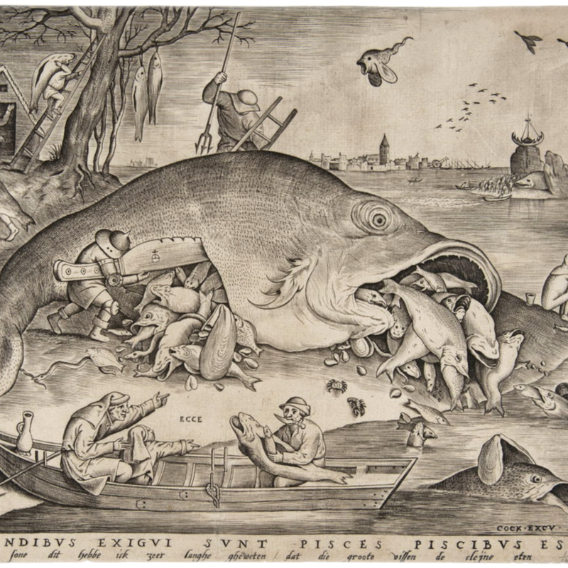 Big Fish Eat Little Fish