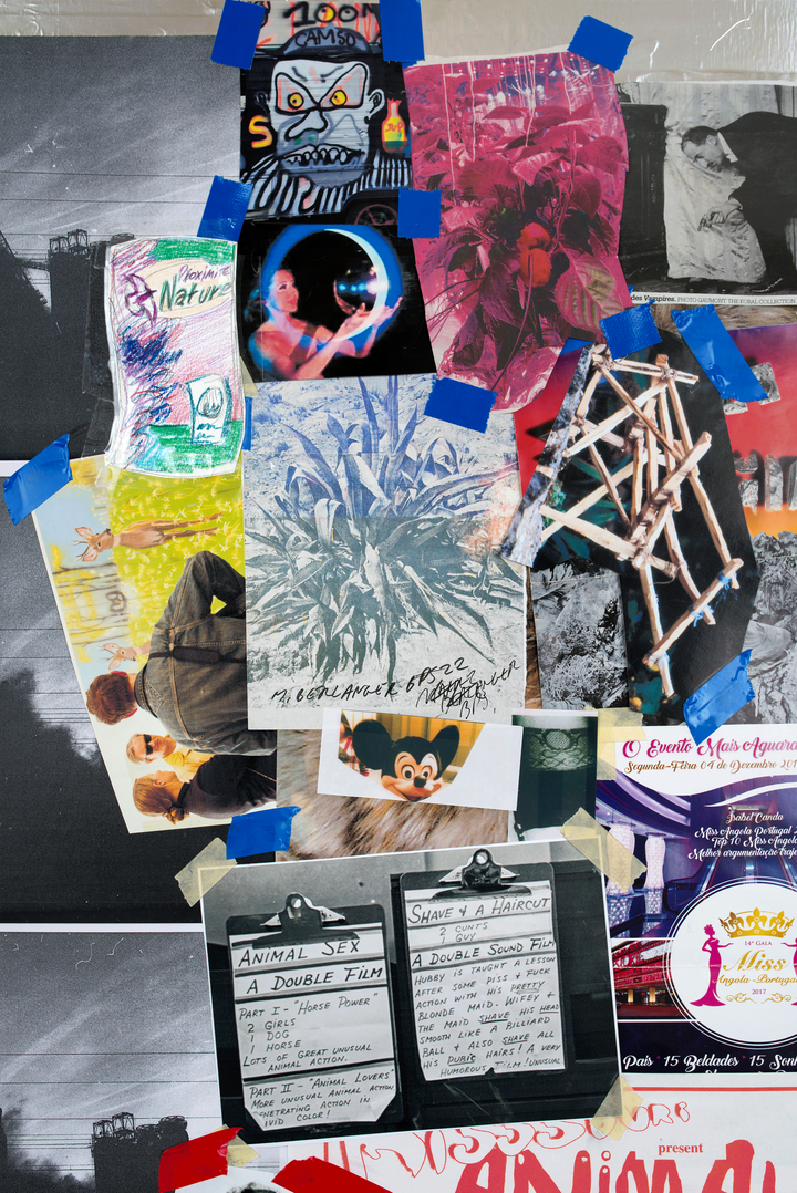 edm_dsc5359.gif