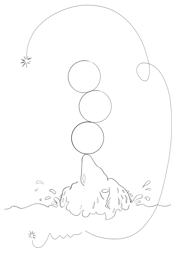 enqueteke_cetaces_ok.png
