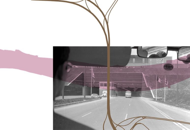 flamand-kennedy.png