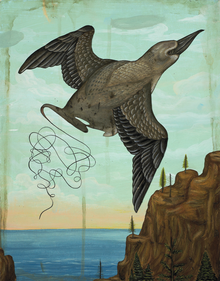 oiseau-mort