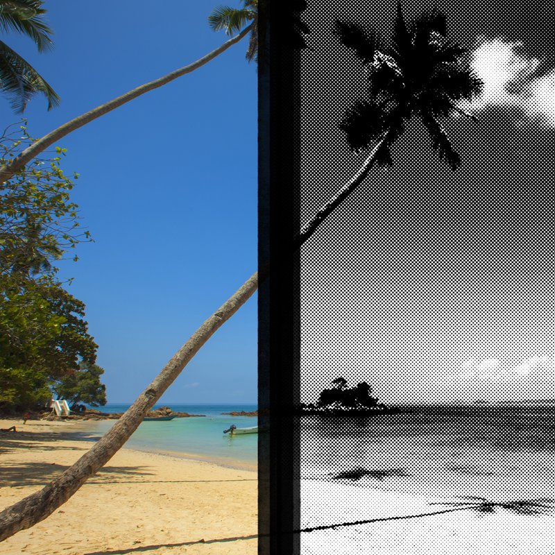 la-plus-dans-la-piscine