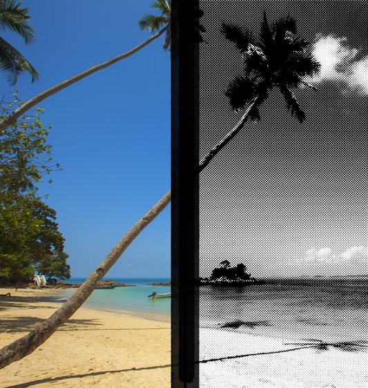 la-plus-dans-la-piscine