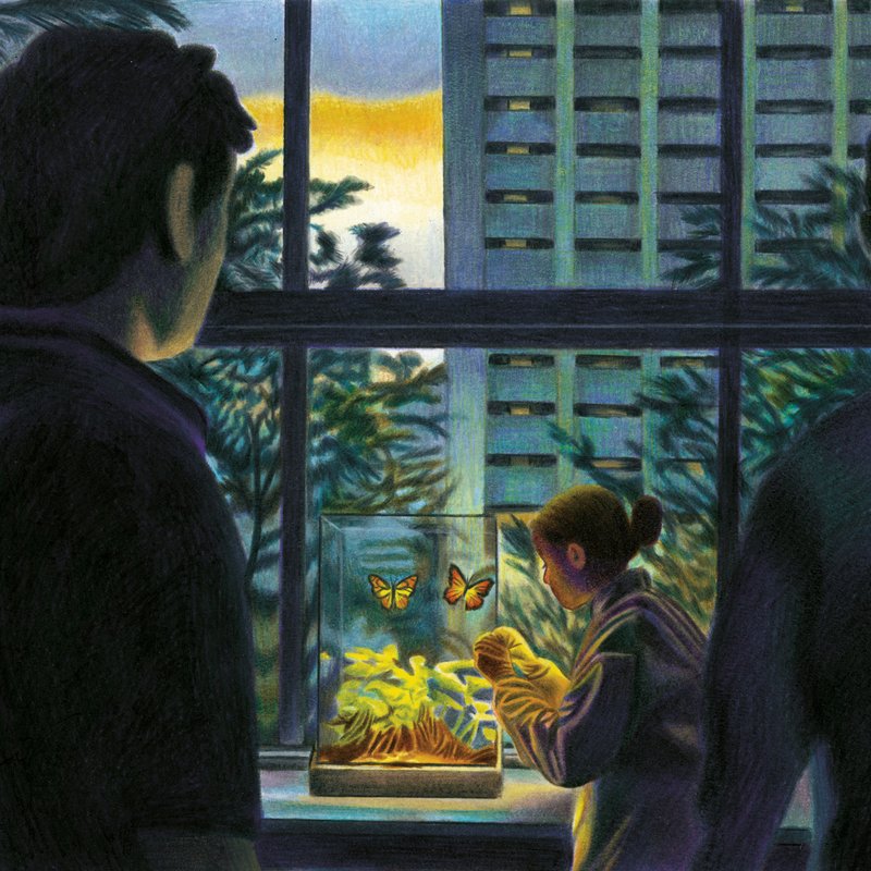 image 1 - pleine page