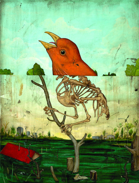 oiseau-mort