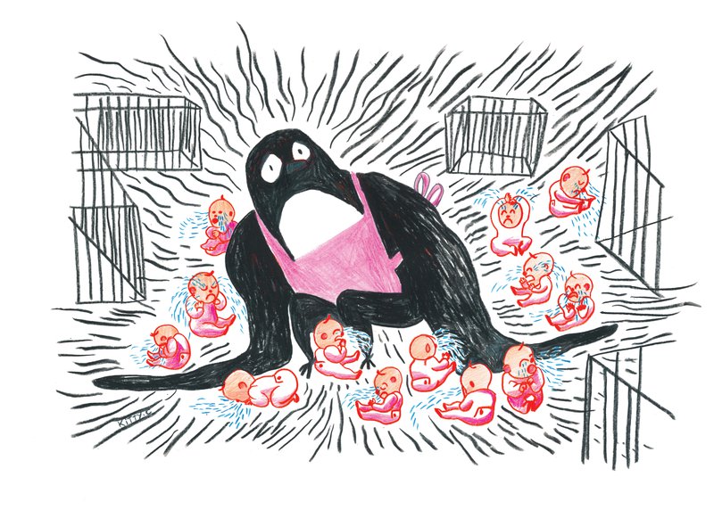 kitty-crowther-4.png