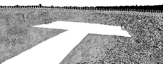 Paive-hopital-psychiatrique