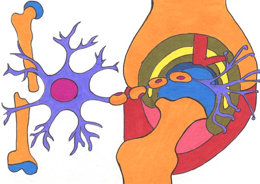 medor_dessins_-_1-print2.jpeg