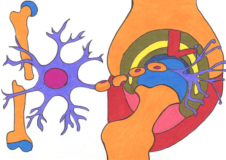 medor_dessins_-_1-print2.jpeg