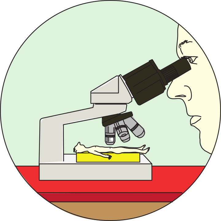 microscope