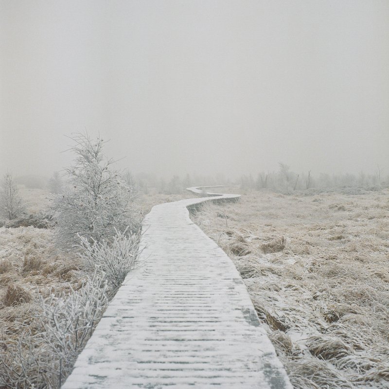 selec-portfolio-2023-11