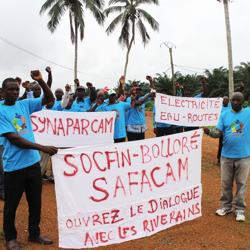 Socfin-huile-de-palme